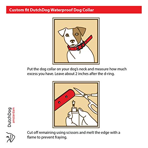 Waterproof Dog Collar Van Gogh Art Impression