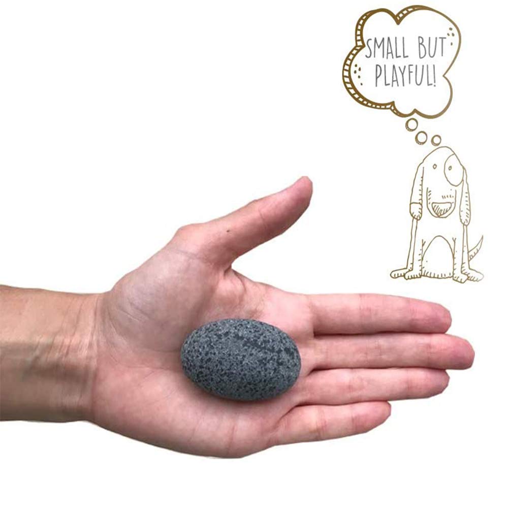 Pet Rock - The Original By Gary Dahl