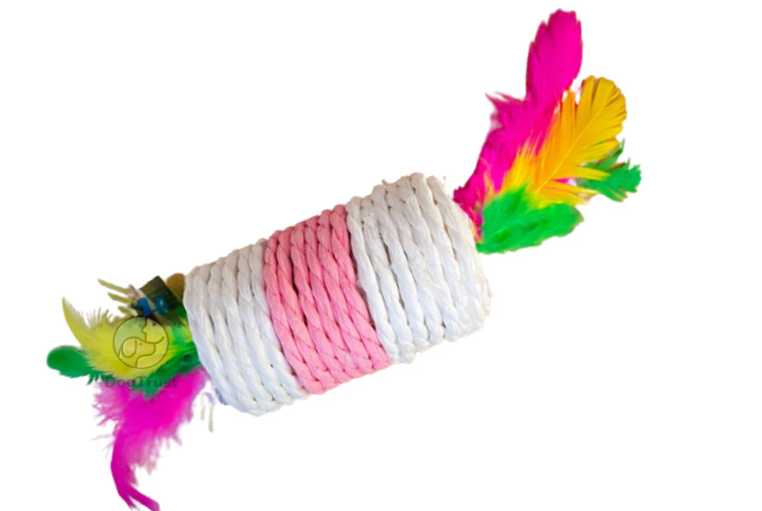Dog Trust Cat Teaser Playing Stick & Feather Interactive Teasing Wand Toy (Cylinder Feather Toy)