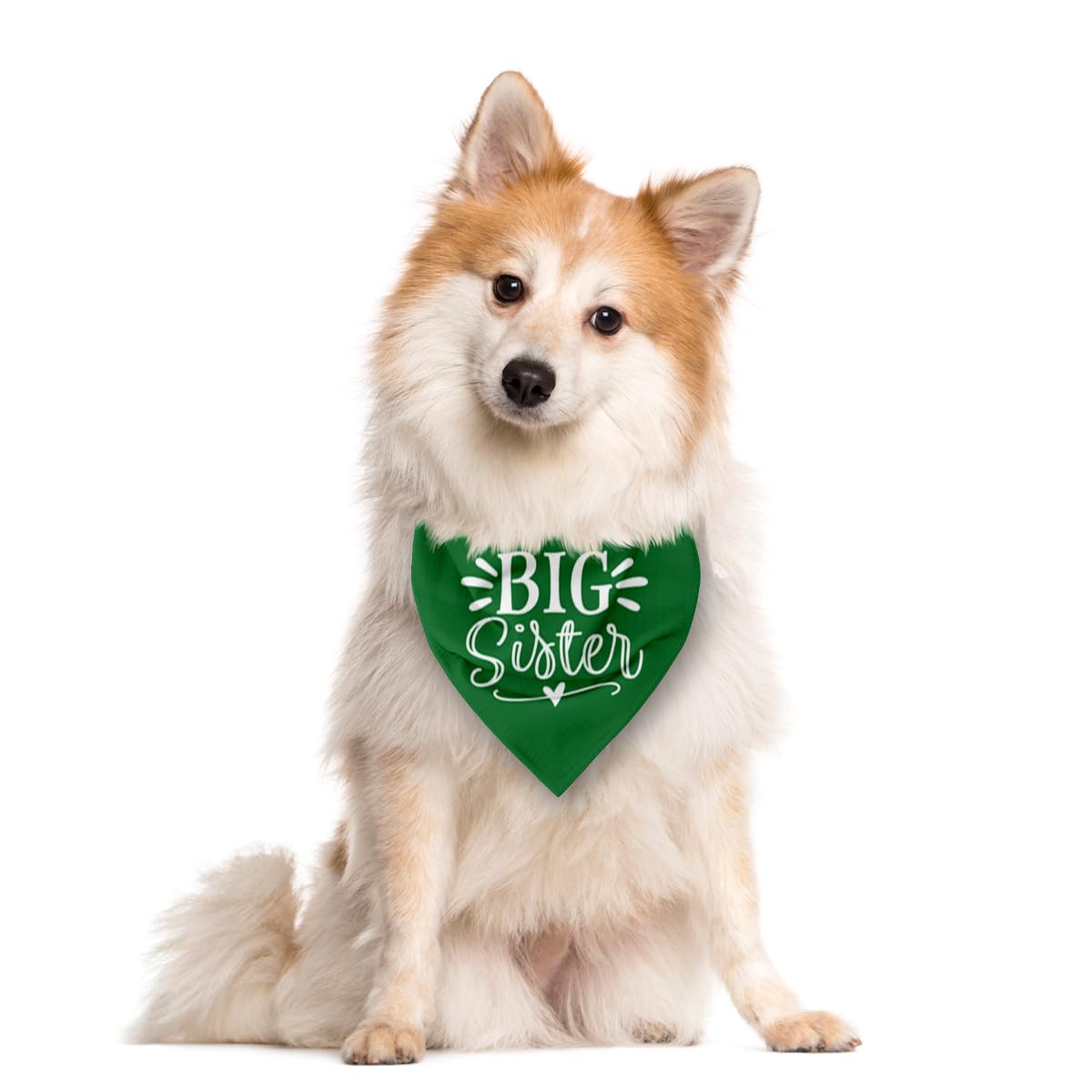 Zpprjf Big Sister Dog Bandana, Green, Triangle, 25 X 17 Inches, Flannel, Comfortable, Water Resistant, Geometric Pattern, Baby S