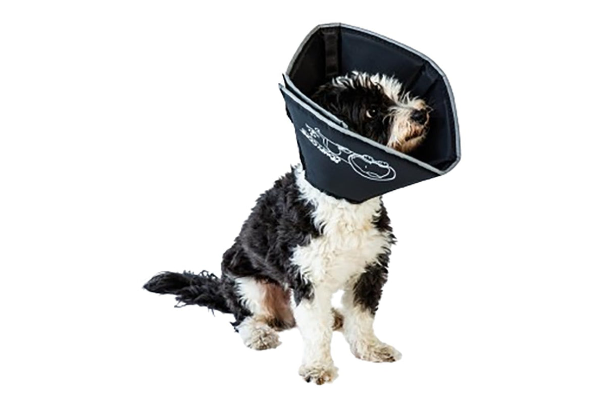 All Four Paws Comfy Cone Pet Cone For Dogs, Cats, Small, Black - Comfortable Soft Dog Cone Collar Alternative For After Surgery, Wound Care, Spay, Neuter - Dog And Cat Recovery Elizabethan-Collar