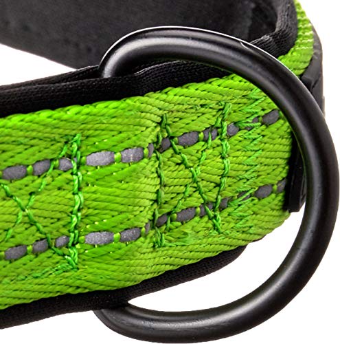 Alcott Flexi Explorer Adventure Pet Collar, Large, Green,Clr Lg Ex Gr