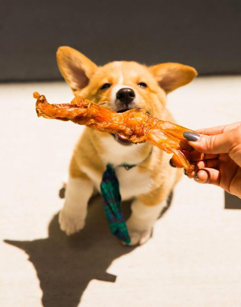 Pupford Turbo Beef Tendon Chews For Dogs & Puppies, All-Natural Dog Chew With Glucosamine For Joint Health, Long-Lasting Toy, Gr