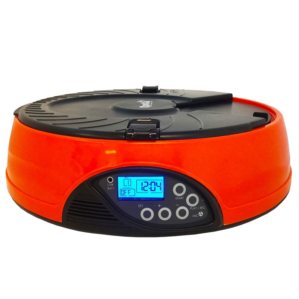 Qpets Af 108 Plus Programmable Automatic Pet Feeder For Dog, Cat & Other Small Pet