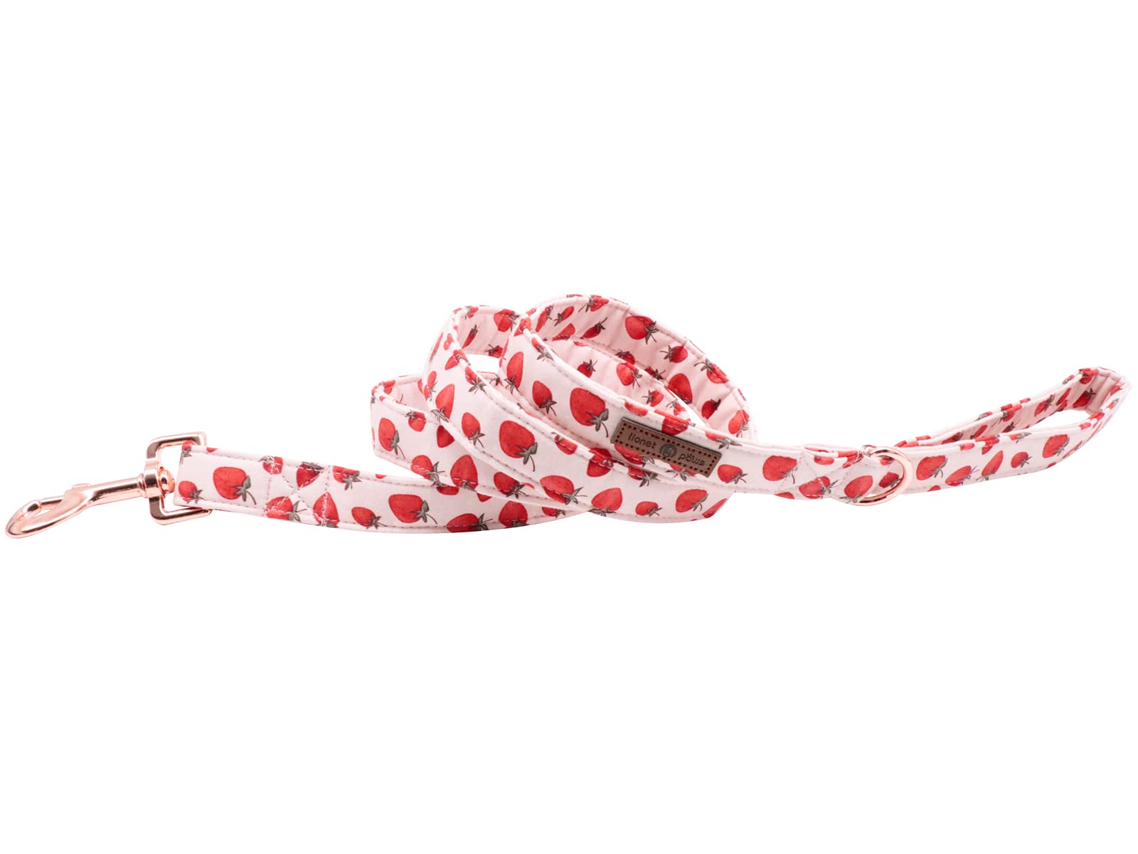 Lionet Paws Strawberry Dog Leash Matching Dogs Collar For Small Medium Dog