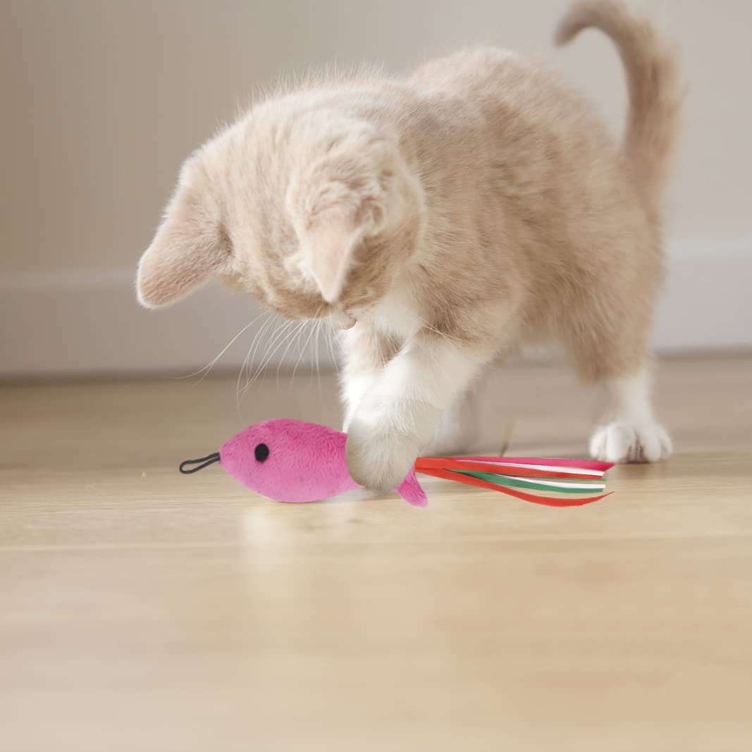 ZeyZoo 5Pcs Catnip Toy, Cat nip Pink Fish Interactive Cat Toy, Kitten Toys Catnip Filled Plush Toys, Feather Teaser Accessories