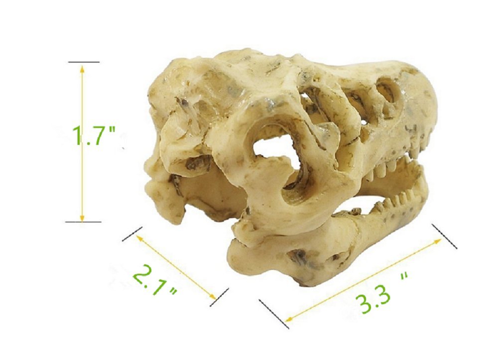 Aquarium Decoration Skeleton Hole Resin Artificial Dinosaur Skull Skeleton Ornament - Fish Tank Small Skull Aquarium Decorations Cave Landscape Pet Reptile House
