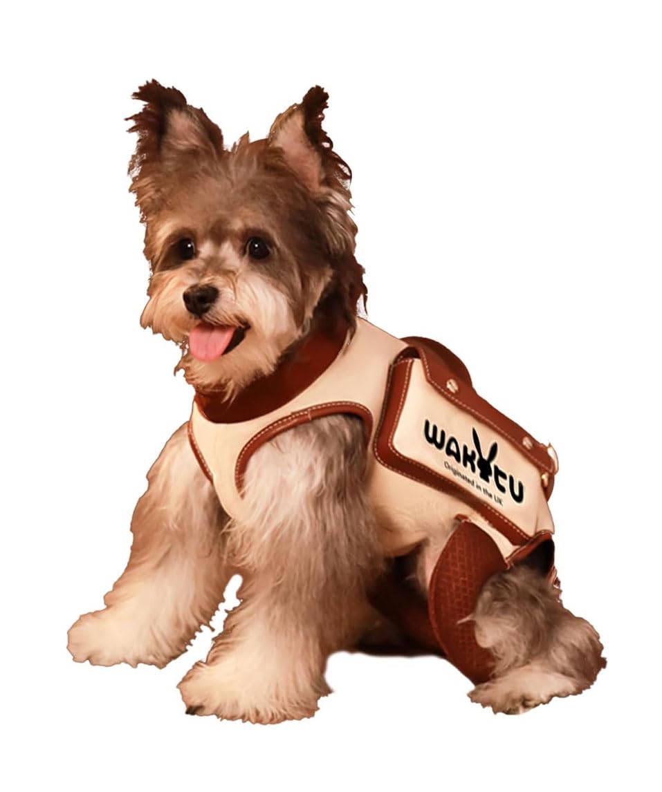 Wakytu Dog Lift Harness Dog Carrier VES Harness Adjustable Leash with Small Puppy Treat Bag,Fits Most Cars,L