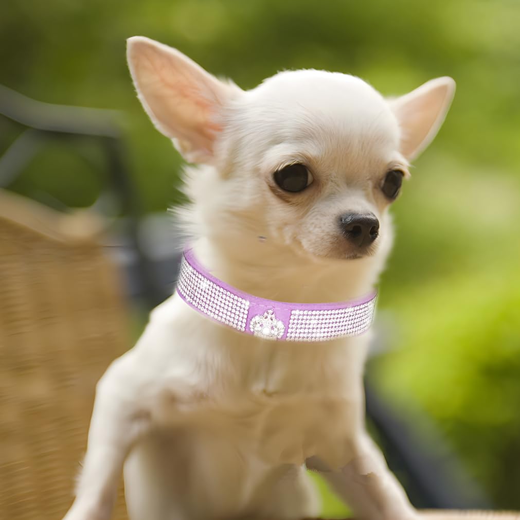 Purple Xxs Dog Collar,Rhinestone Dog Collar, Puppy Collar Girl Bling Diamond Cat Collar Pretty Jewel Glitter Sparkly Pet Collars