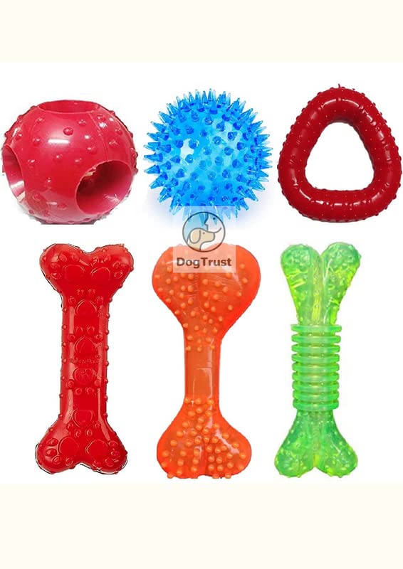 Dog Trust Rubber Dog Toys Combo  5 Toys Flavoured Bone, Hole Ball, Spike Led Ball Trio Ring and Paw Print Bone Dog Chew Toy  C
