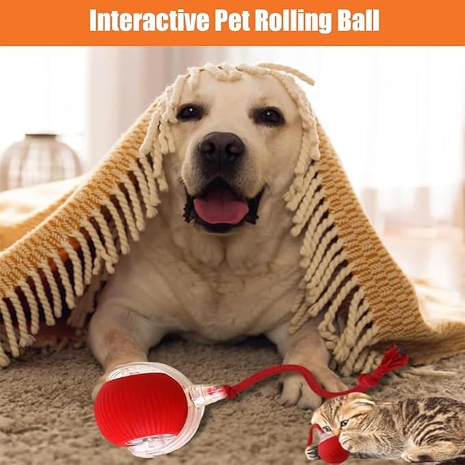 Autrety 2025 New Electric Dog Ball Toy,360 Smart Automatic Interactive Rolling Ball, Smart Pet Toy,Interactive Dog Toys,Gift For