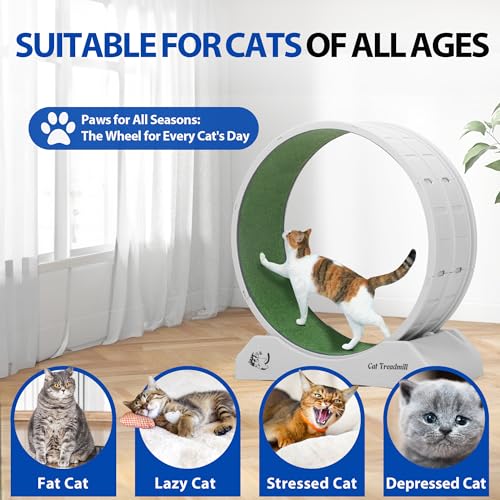 Coziwow Cat Wheel For Indoor Cats Exercise Running Wheel Cat Treadmill With Brake & Carpeted Runway, 31.5 Inch Easy To Install &