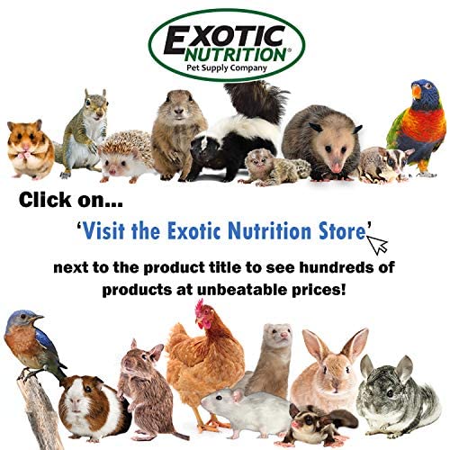 EZ-Worms (1.41 oz.) - Blend of Dried Mealworms & Black Soldier Fly Larvae (BSFL) - Healthy Insect Treat - Chickens, Bluebirds, S