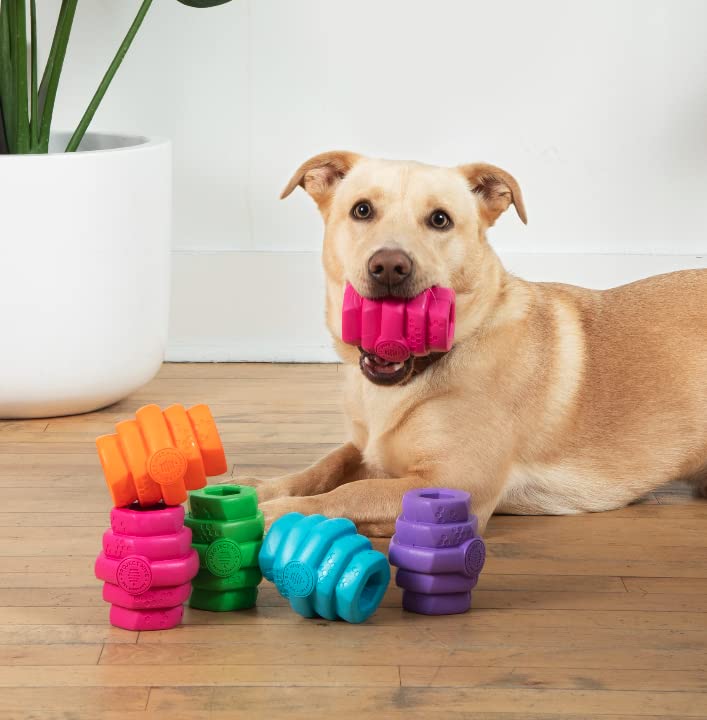 Project Hive ·Pet Company· - Wild Berry Scented - Hive Chew Toy For Large Dogs - Dog Chew Toy For Large Breeds - Floats In Water - Durable And Tough - Made In The Usa