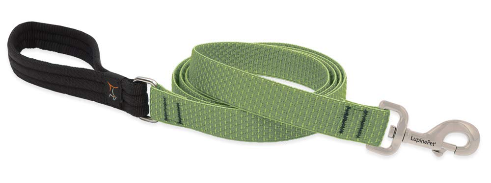 Lupinepet Eco 1'' Moss 6-Foot Padded Handle Leash For Medium And Larger Dogs