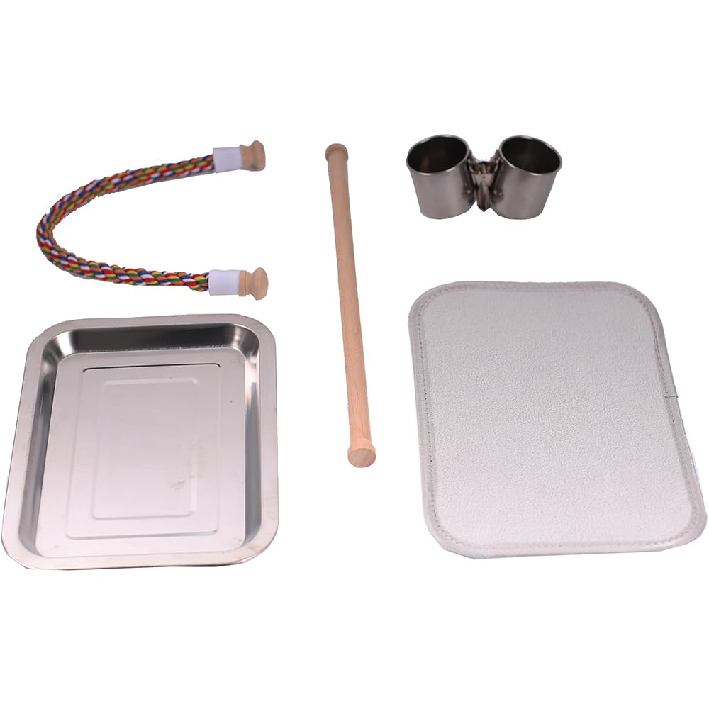 Bird Traval Carrier Cage, Multi Vent Holes Clear Space Capsule Astronaut Backpack To Carry Parakeet Cockatiel Parrot With Metal