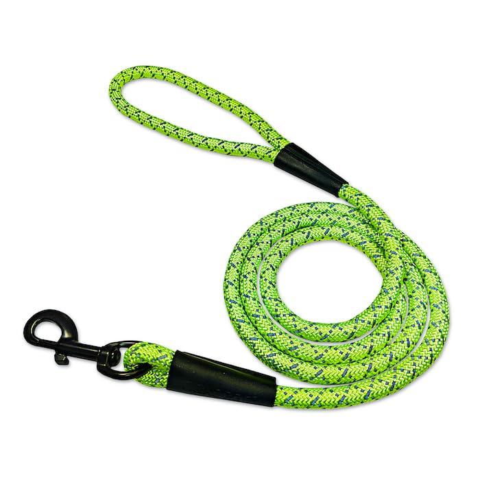 Noxgear LightHound (X-Large) + High-Visibility Dog Leash - Illuminated and Reflective Harness for Dogs Including Multicolored LE