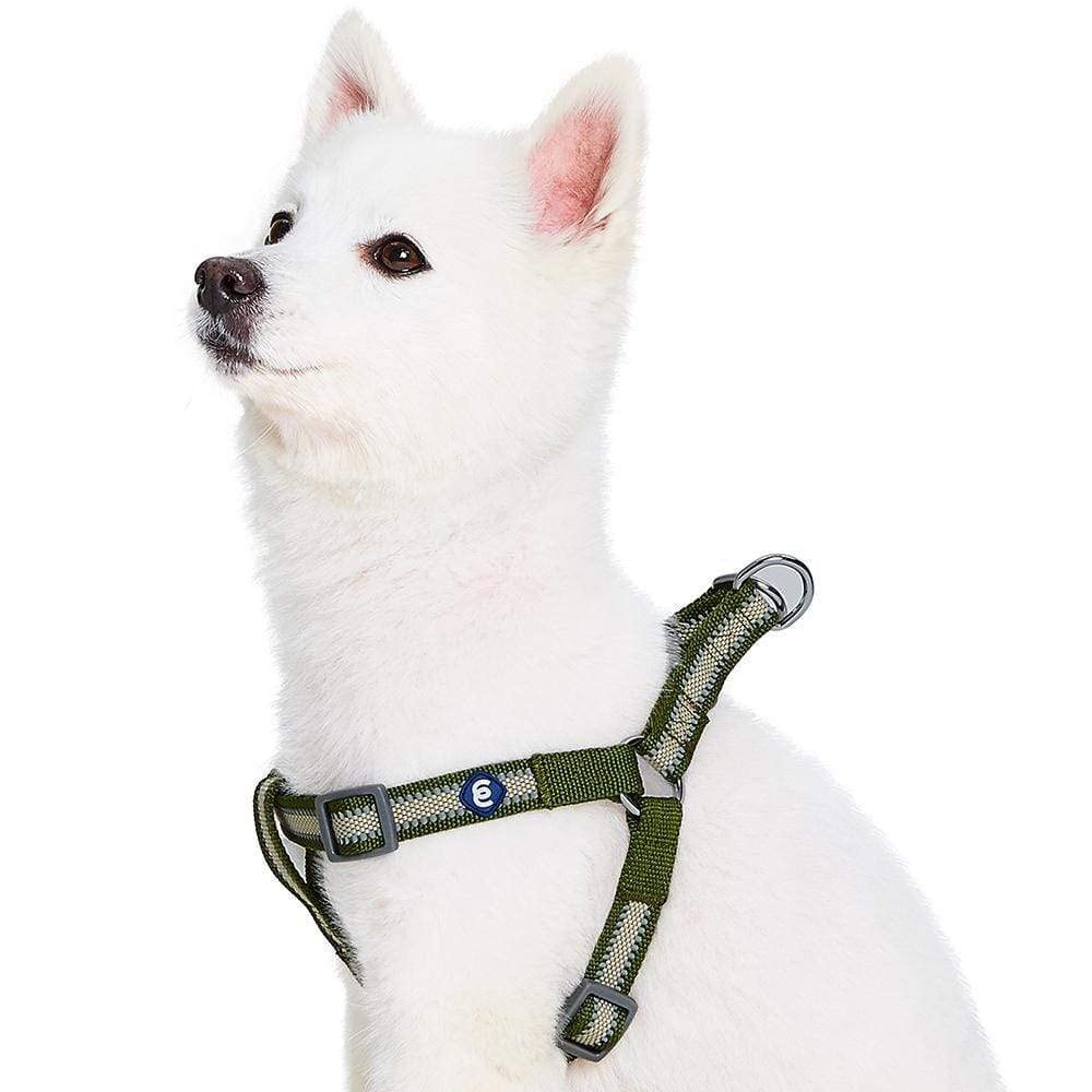 Blueberry Pet Essentials Step-in Reflective Back to Basics Dog Harness, Dark Olive, Chest Girth 16.5 - 21.5, Small, Adjustable H