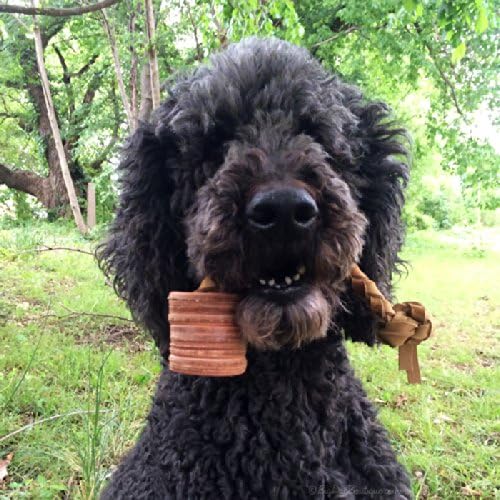 Auburn Leathercrafters Leather Tug Toy - Disk