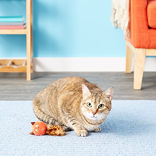 Jw Cataction Catnip Squirrel Toy, Multicolor