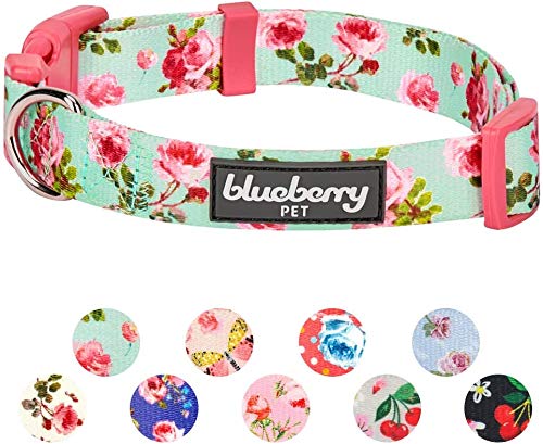 Blueberry Pet 7 Patterns Spring Scent Inspired Floral Rose Print Turquoise Adjustable Dog Collar, X-Small, Neck 8'-11'