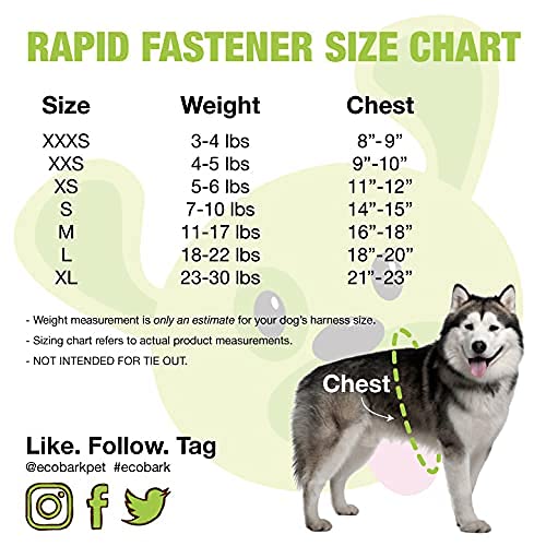 Ecobark Rapid Fastener Super Comfort Fully Adjustable Double Padded Step In Dog Harness (Xxs, Green)