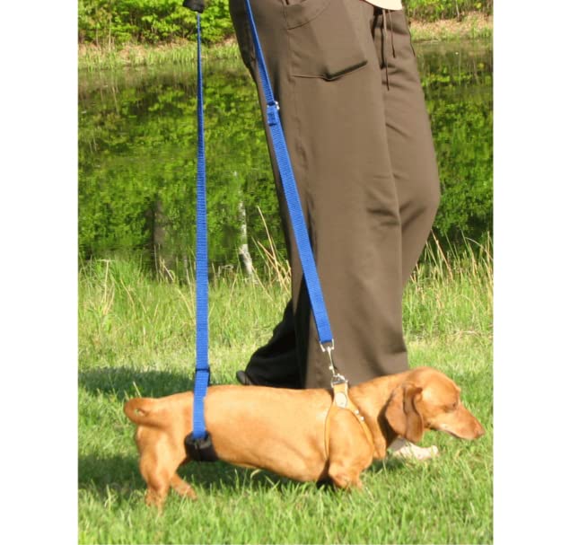 GINGERLEAD Dog Sling Hip Support Harness, X-Small Fits Little Pets Under 25 lbs and Dachshunds with IVDD, Spinal Disc Disease, o