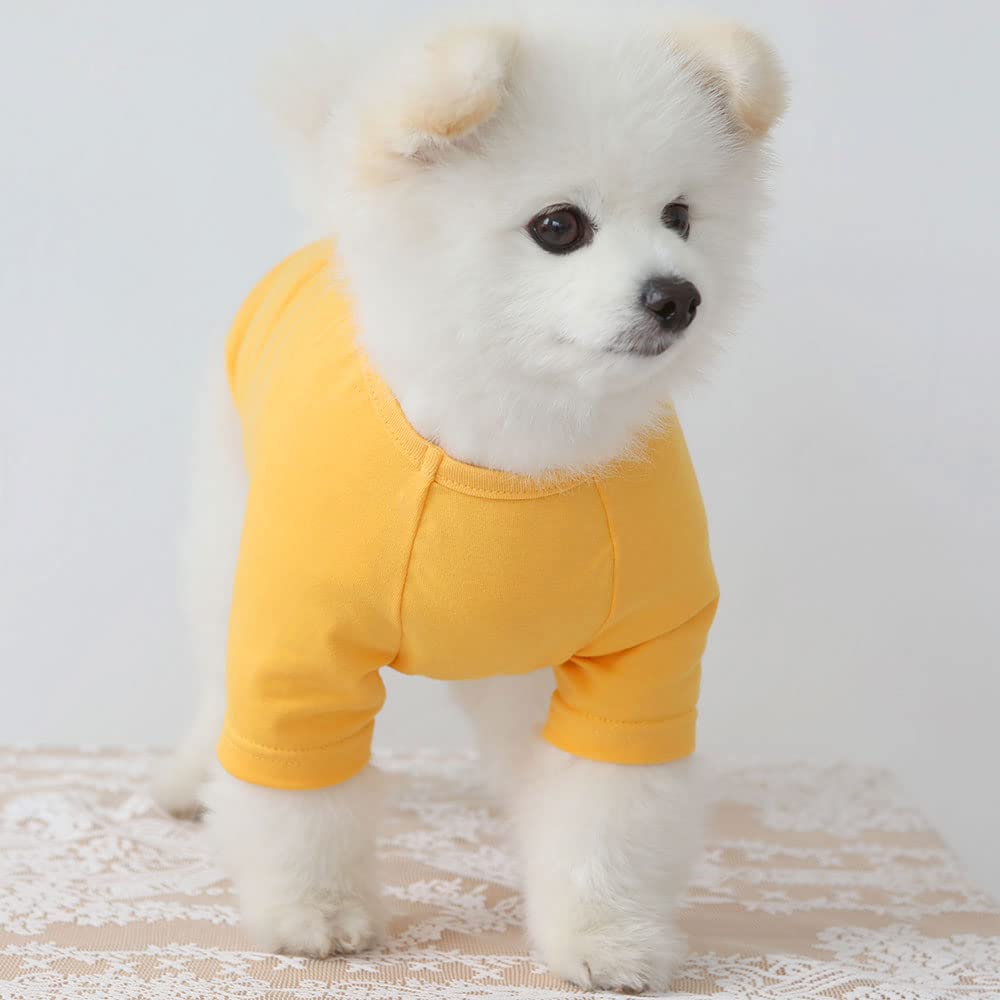Lucky Petter Dog Shirt For Small Dogs Plain T-Shirts Soft Breathable Dog Cotton Shirt Pet Clothes (Small, Yellow)