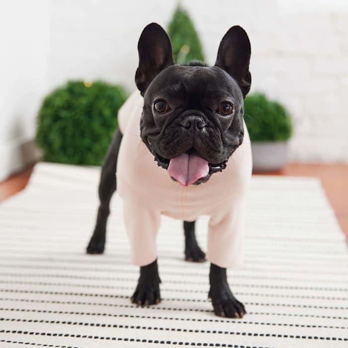 Gf Pet Gondola Base Layer For Dogs | Micro Polar Fleece Dog Bodysuit | Warm 4-Way Stretch Onesie | Full Body Coverage, Protection From Cold | Pajamas & Winterwear - Pink - 2X Small