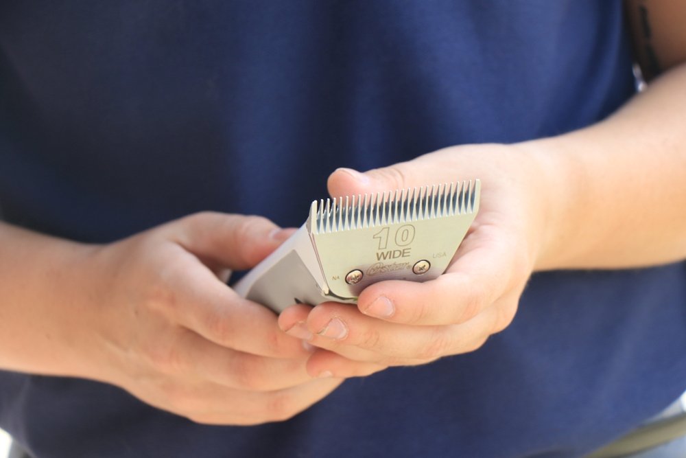 Oster Cryogenx Detachable Pet Clipper Blade, Size 10 Wide (078919-446-005)