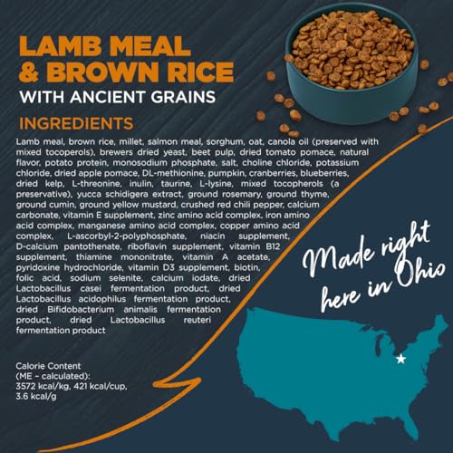 Blackwood Sensitive Skin & Stomach Dry Dog Food, Lamb Meal & Brown Rice with Ancient Grains, 10 Pound Bag with Prebiotics & Prob