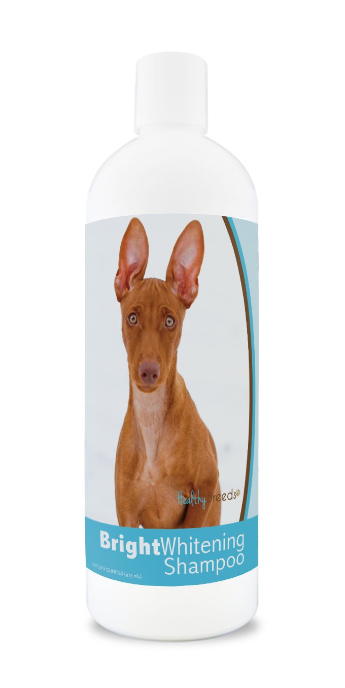 Healthy Breeds Cirnechi dellEtna Bright Whitening Shampoo 12 oz