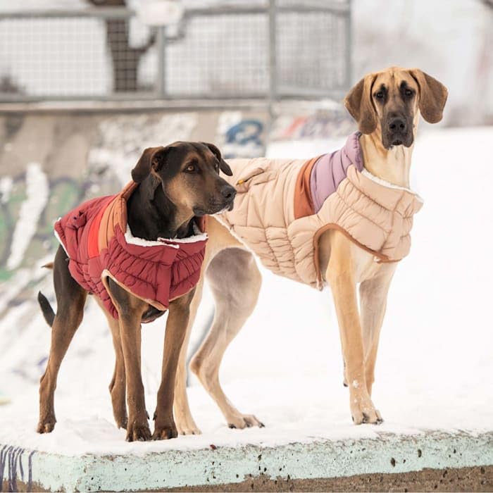 Elasto-Fit Classic Puffer Dog Jacket - Quilted Winter Pet Coat With Adjustable Straps, Waterproof Insulated Dog Outerwear For Small Medium Large Dogs, Easy On Off Design - Dark Red, X-Large