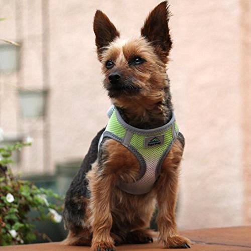 Doggie Design American River Dog Harness Ombre Collection - Limestone Gray