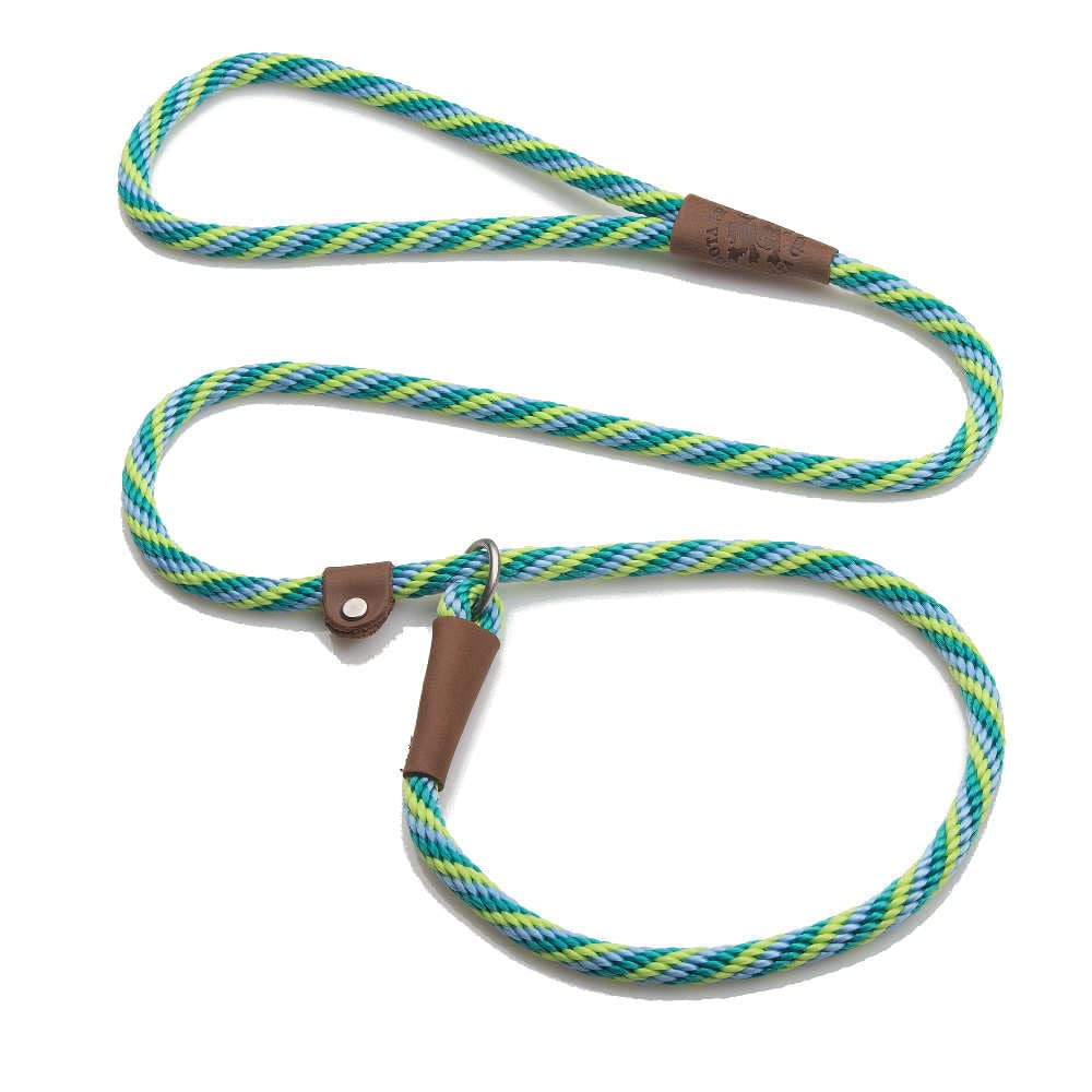 Mendota Pet Slip Leash - Dog Lead And Collar Combo - Made In The Usa - Seafoam, 3/8 In X 6 Ft - For Small/Medium Breeds