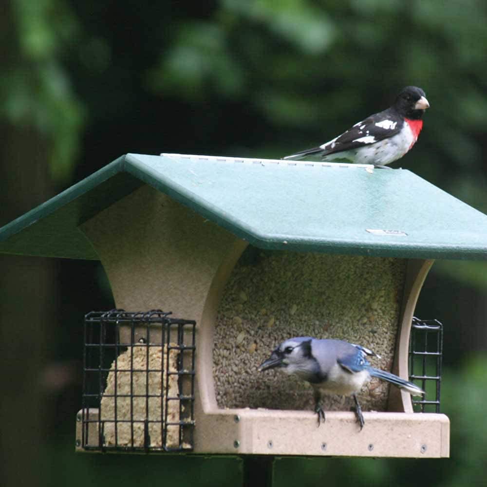 Birds Choice SN200-S Two-Sided Hopper Feeder, Recycled Bird Feeder w/ Two Suet Cages, Medium, Taupe/Green