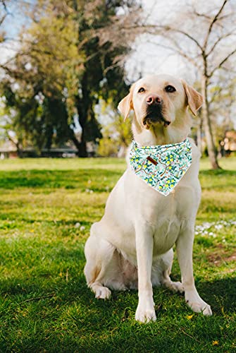Lionheart Glory Plaid Dog Bandana 1 Pack Washable Soft Cotton Lemon Flower Bibs Scarf, Adjustable Kerchief Square Dog Bandanas F