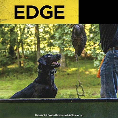 Dogtra Edge Receiver - Green