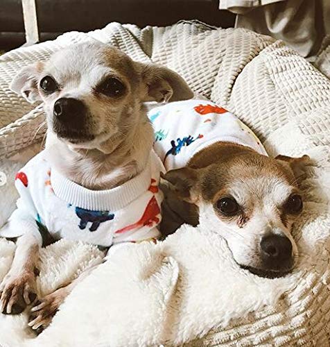 Cutebone Dinosaur Dog Pajamas Adorable Puppy Clothes Jumpsuit Pjs Pet Apparel Soft Fleece Cat Coat, Xlarge P01Xl