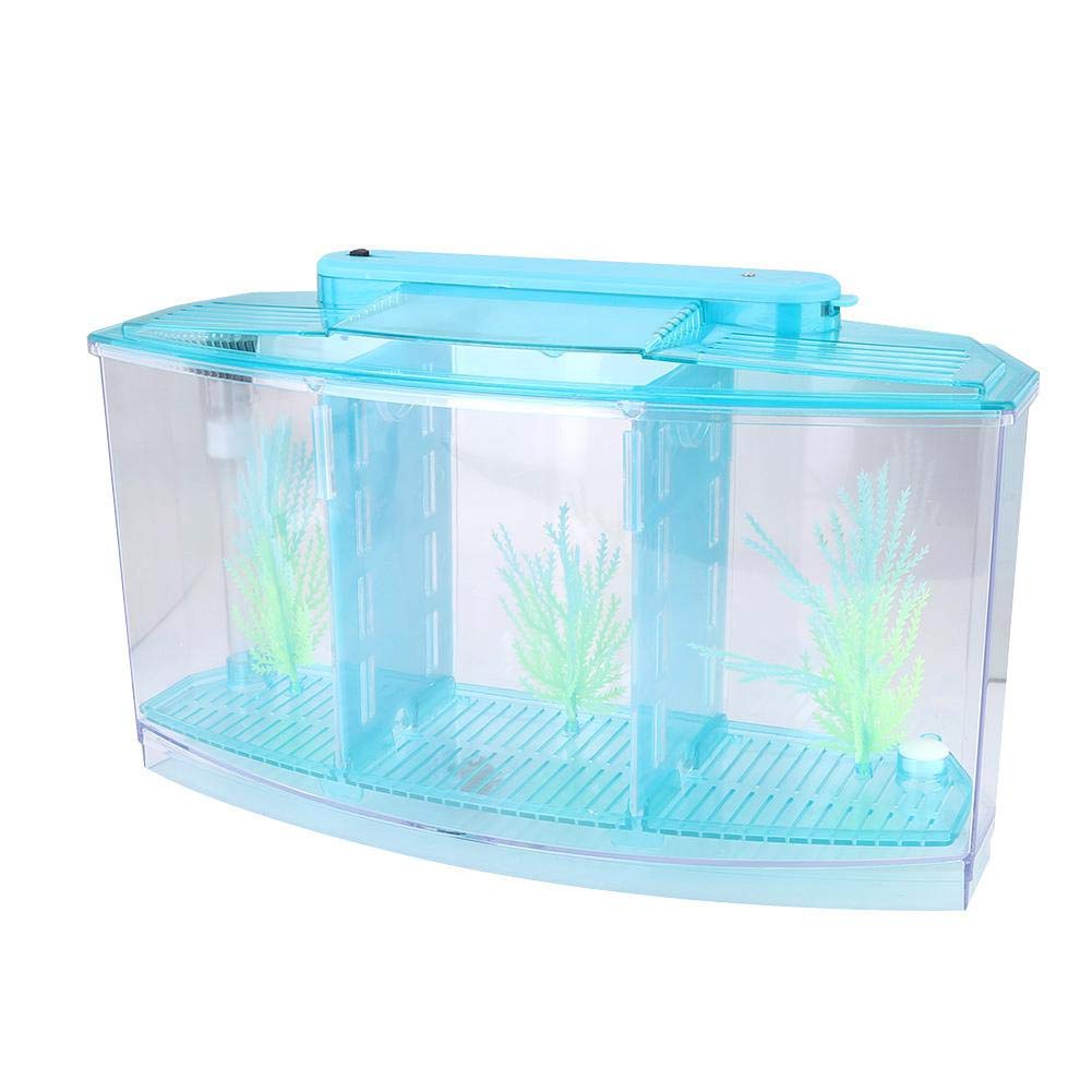 Fish , Desktop Transparent Breeding Fish , Mini Acrylic For Small Fishes With Led Light With Water Change Valve For Betta(Blue)