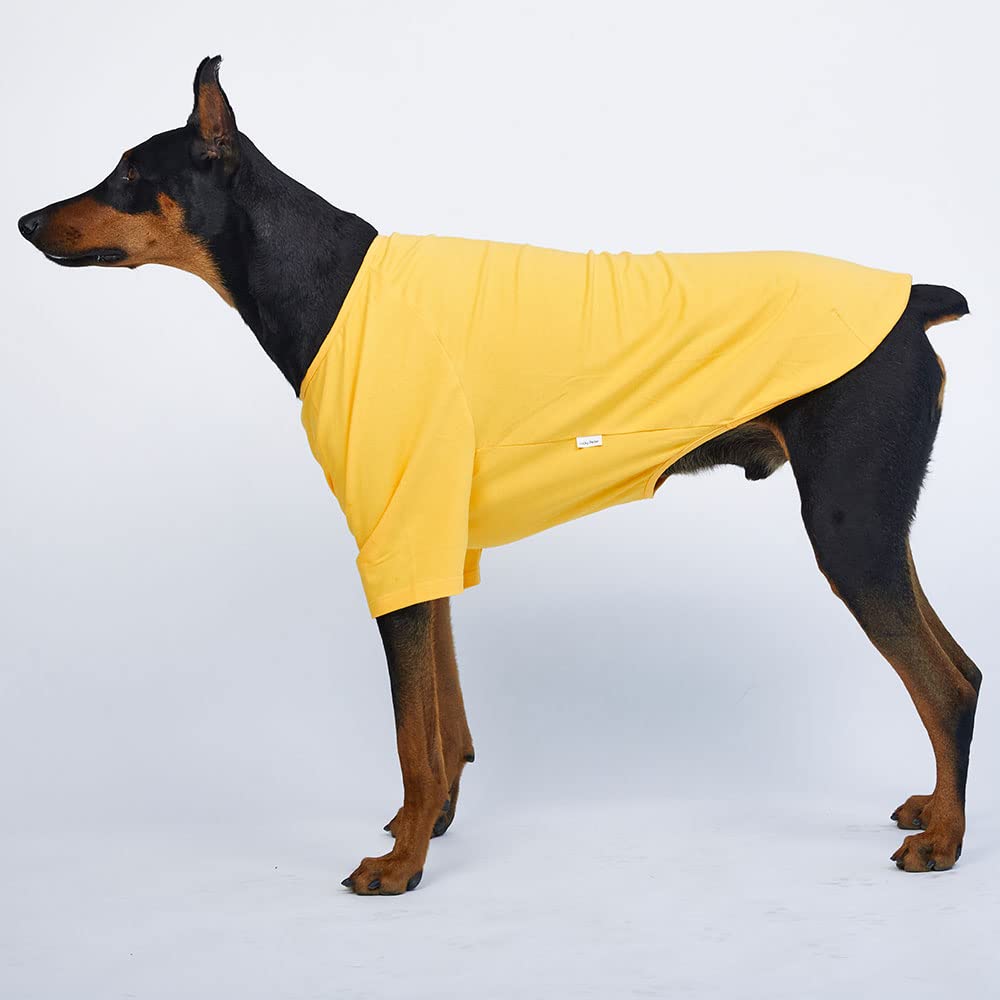 Lucky Petter Dog Shirt For Small Dogs Plain T-Shirts Soft Breathable Dog Cotton Shirt Pet Clothes (5X-Large, Yellow)