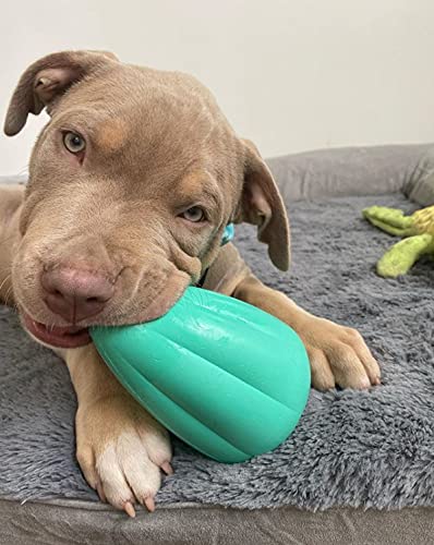 Chew King Premium Treat Dog Toy, Medium, Extremely Durable Natural Rubber Toy, Pack Of 2