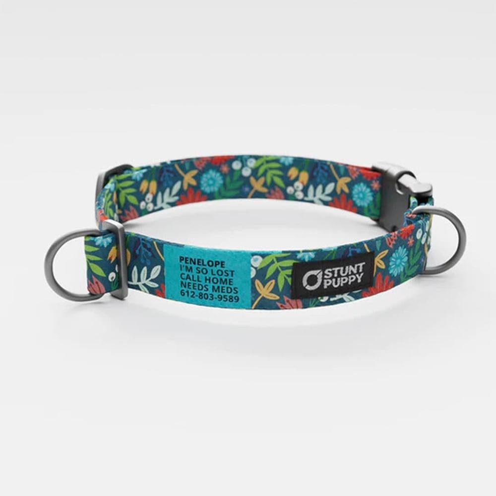 Frolic Fall Everyday Collar Large