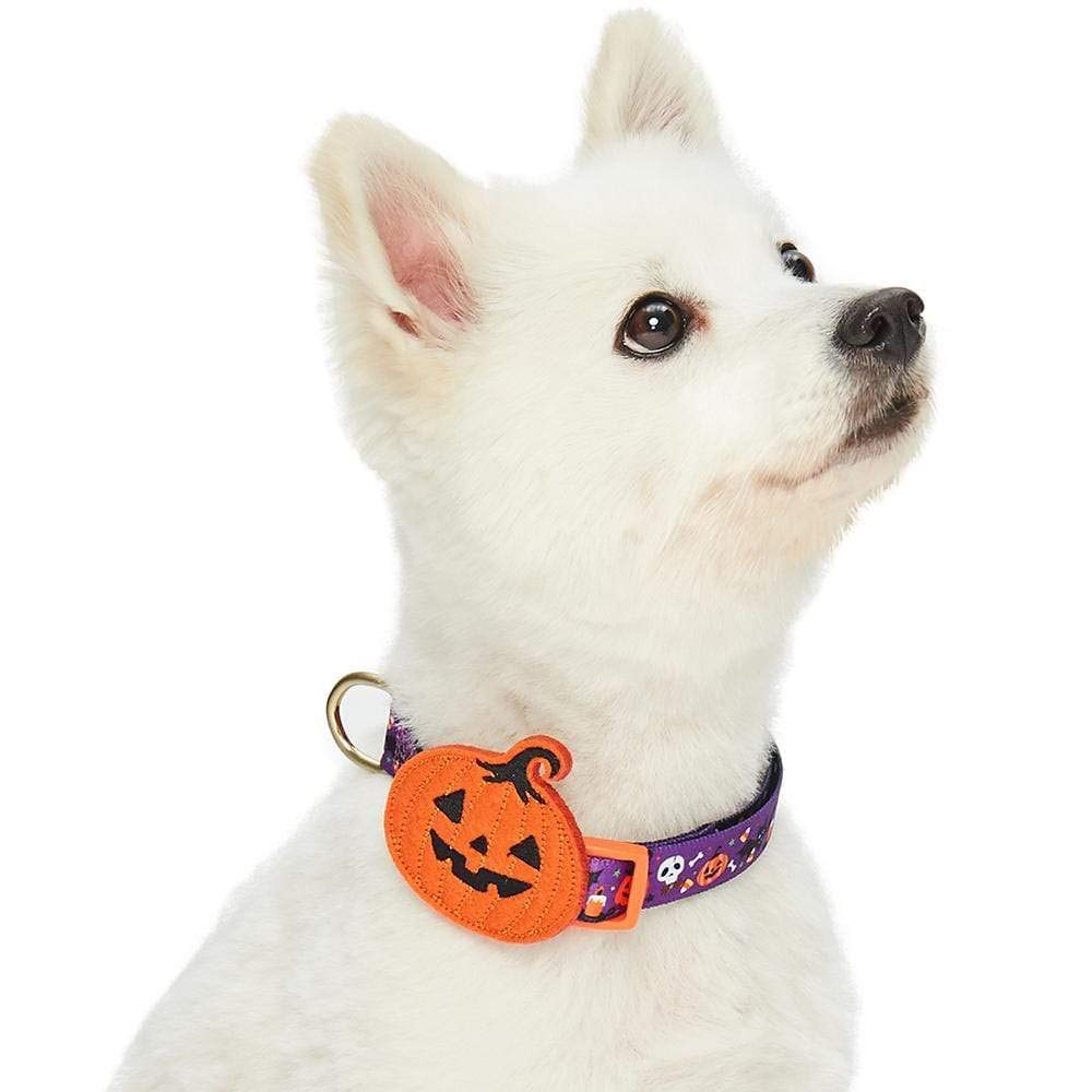 Blueberry Pet 8 Patterns Halloween Pumpkin Party Designer Adjustable Dog Collar with Detachable Decoration, Small, Neck 12''-16'