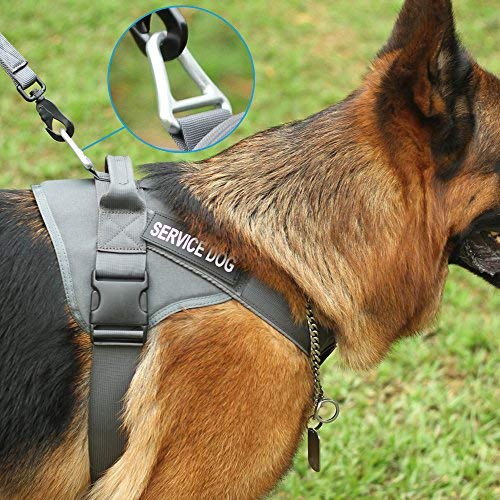 Excellent Elite Spanker Tactical Dog Harness Military Patrol Harness No-Pull Service Dog Vest Military Dog Vest Adjustable Training Working Dog Vest With Handle For Medium Large Dogs(Grey-Xs)