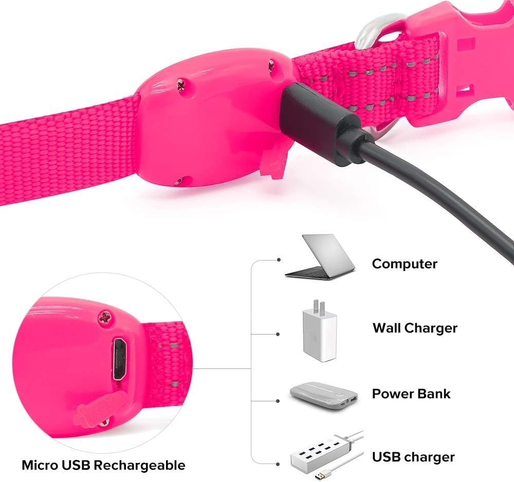 Bseen Light Up Dog Collar - Reflective Led Dog Collar Rechargeable Glowing Pet Collar For Puppies & Cats, Safety Dog Lights For