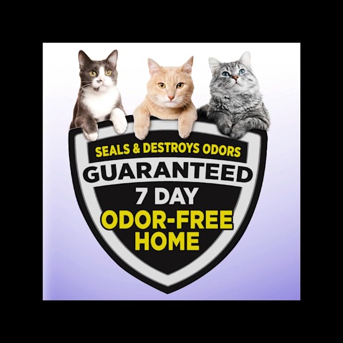 Arm & Hammer Slide Cat Litter - Clumping Multi-Cat, 38 Lbs.