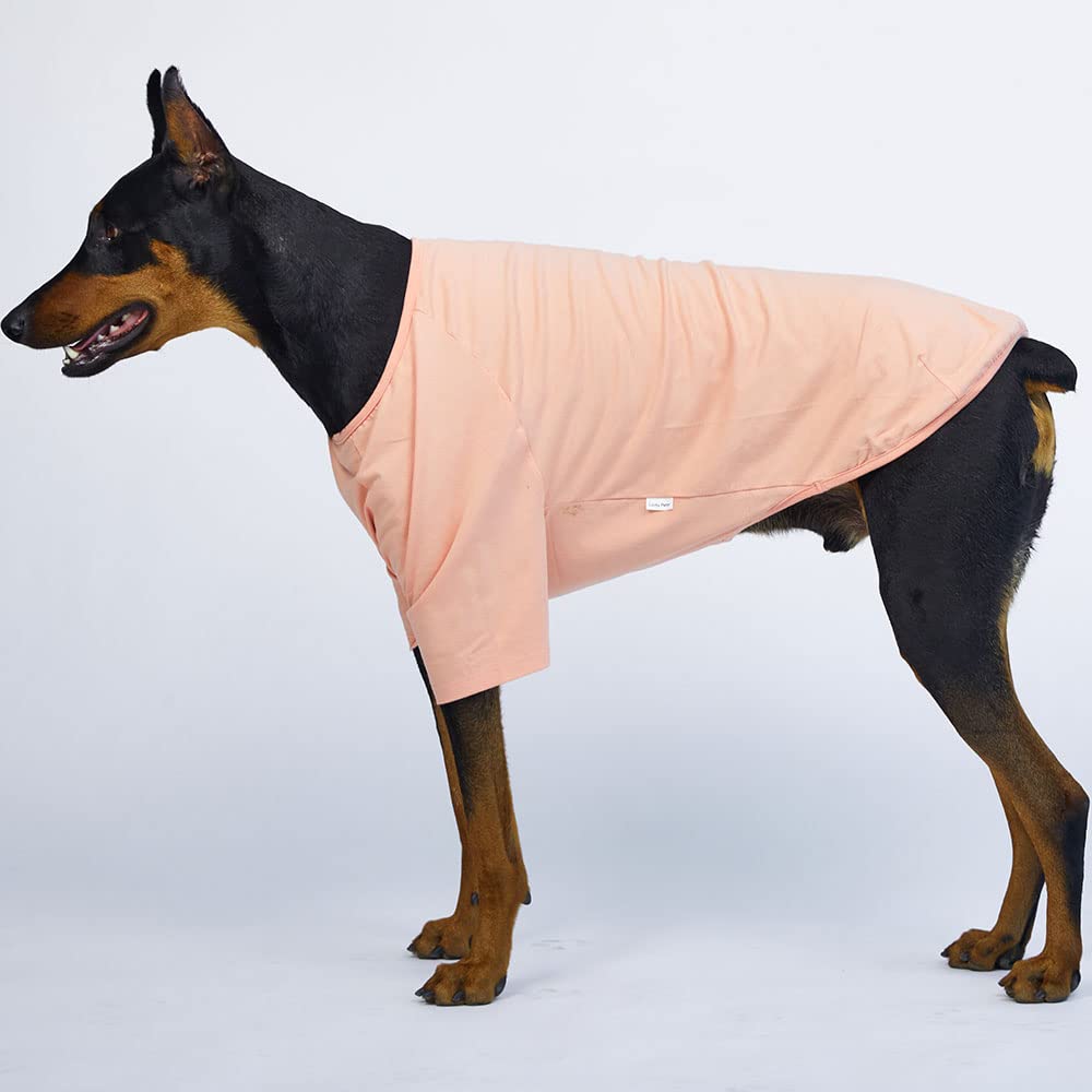 Lucky Petter Dog Shirt For Small Dogs Plain T-Shirts Soft Breathable Dog Cotton Shirt Pet Clothes (2X-Large, Peach)