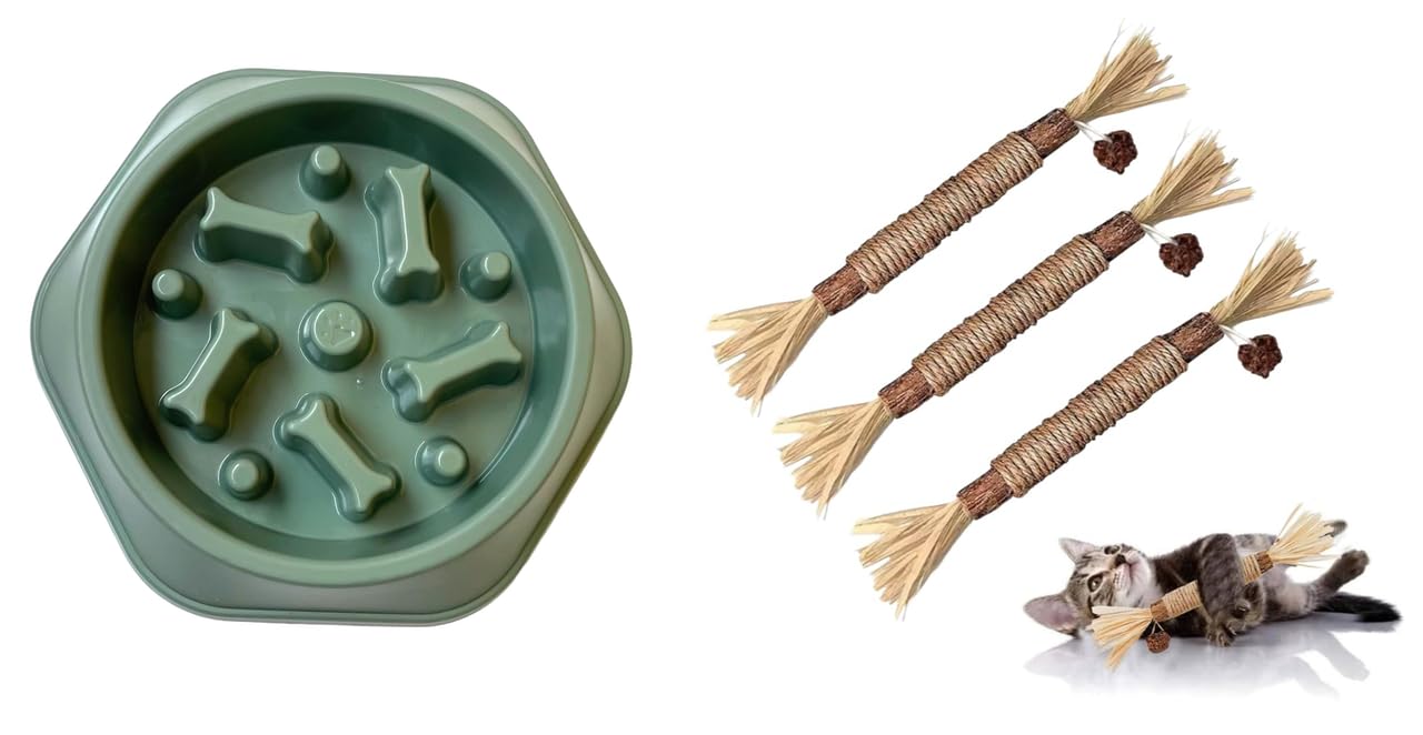 Urban Pet Gallery Pet Bowl, Feeding Bowl Slow Eating Bowl For Dogs And Cats (Green) And Silvervine Stick For Cats With Sisal Rop
