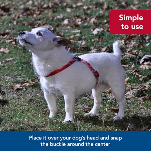 Coastal Pet Size Right Adjustable Dog Harness - Small & Big Dog Harness - Comfortable Dog Training Harness - Includes Snap-Lock Buckle - Quality Dog Supplies - Blue, 3/8' X 12-18'